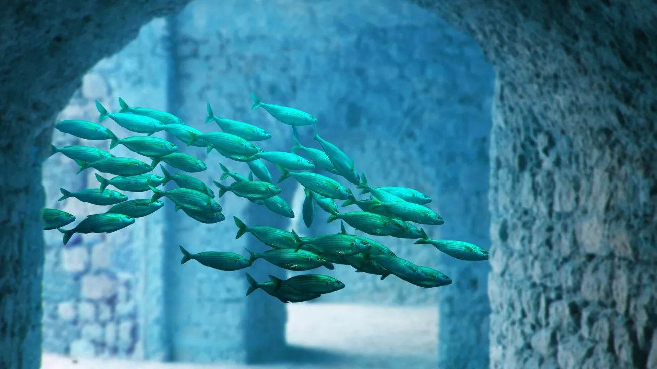 culture fit fish swim