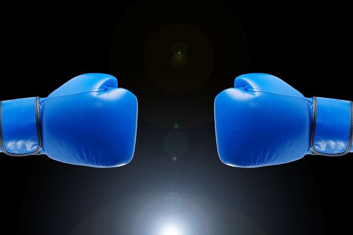 Blue Boxing Gloves