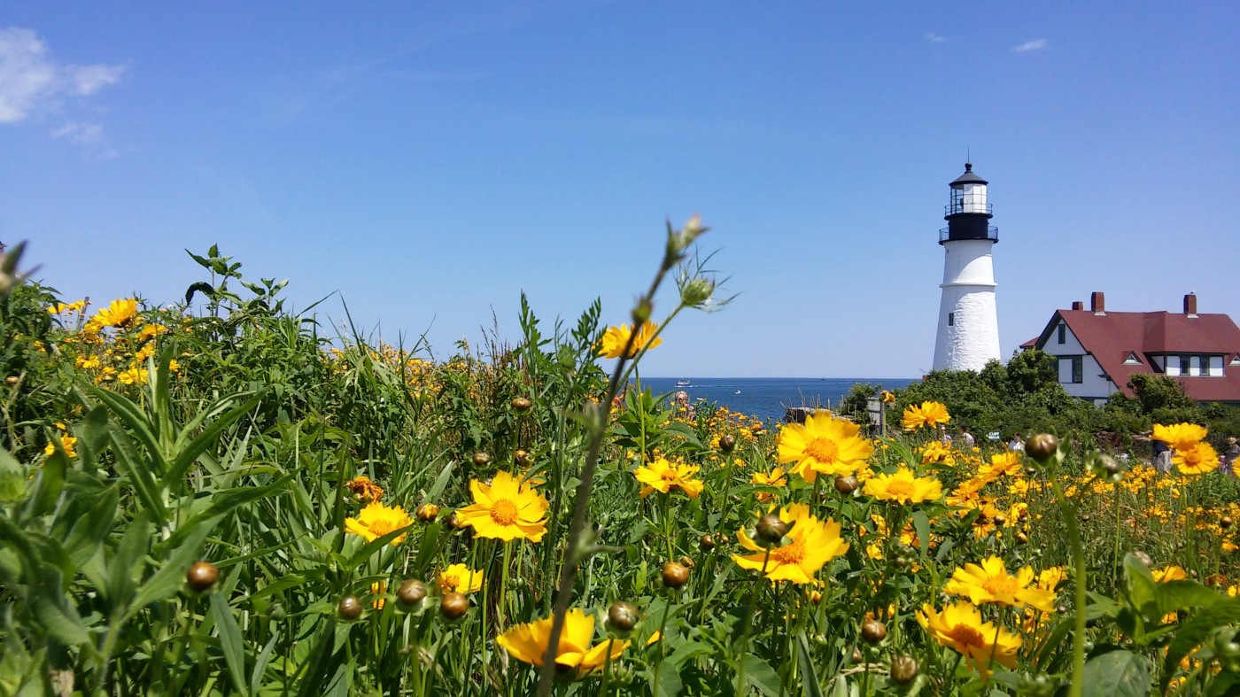 Maine Lighthouse with a field and flowers. 