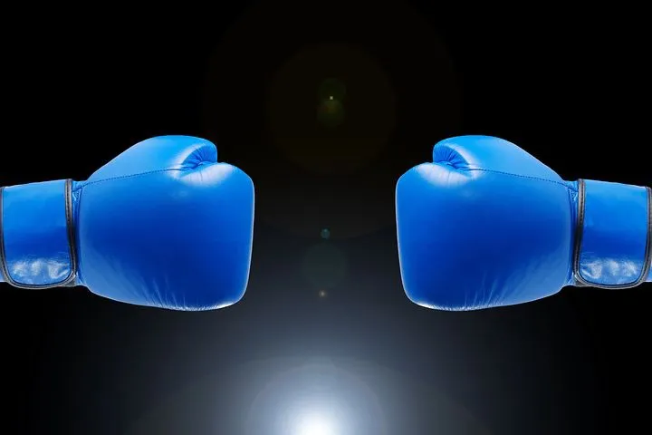 Blue Boxing Gloves